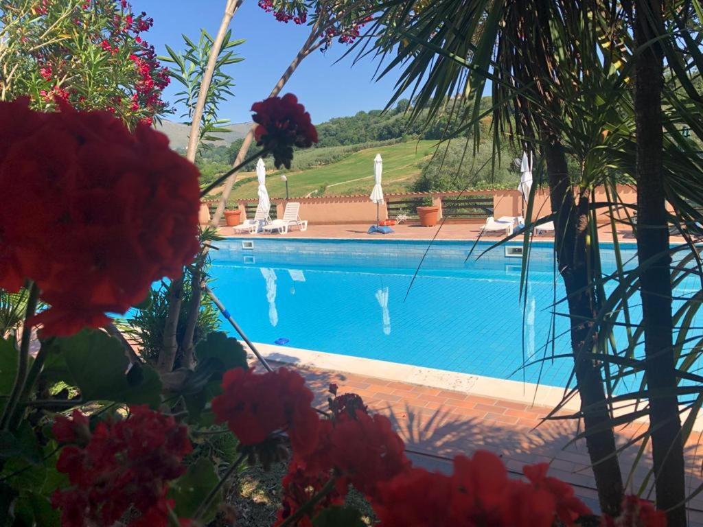 Rea Villa Coltodino Zewnętrze zdjęcie